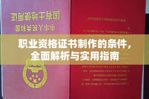 泸西职业资格证书制作的条件，全面解析与实用指南