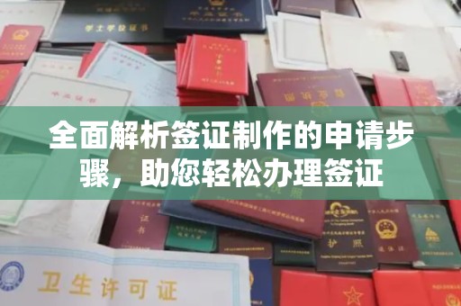 泸西全面解析签证制作的申请步骤，助您轻松办理签证