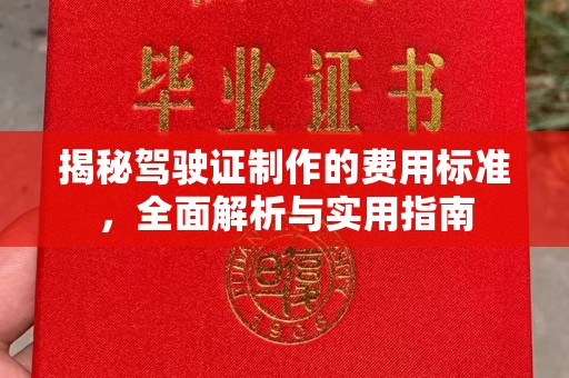 泸西揭秘驾驶证制作的费用标准，全面解析与实用指南