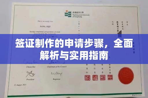 泸西签证制作的申请步骤，全面解析与实用指南