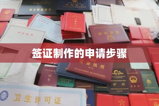 泸西签证制作的申请步骤