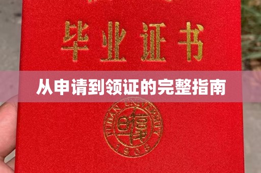 泸西从申请到领证的完整指南