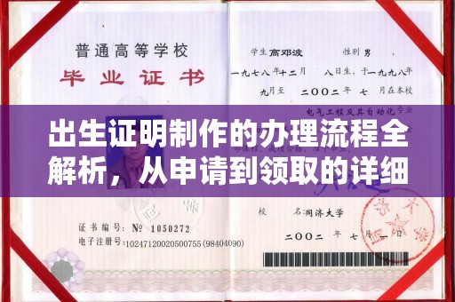 泸西出生证明制作的办理流程全解析，从申请到领取的详细指南