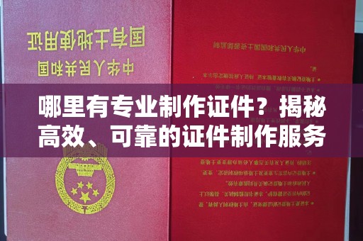 泸西哪里有专业制作证件？揭秘高效、可靠的证件制作服务
