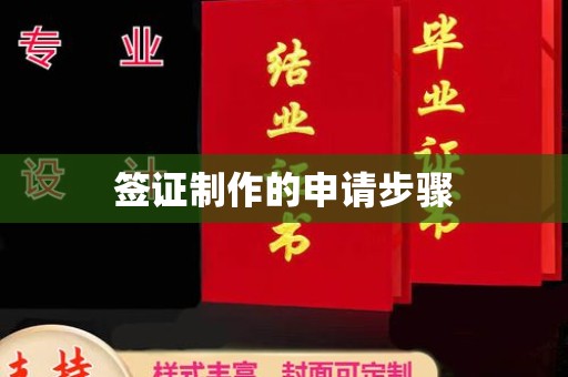 泸西签证制作的申请步骤