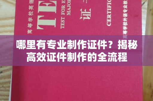 泸西哪里有专业制作证件？揭秘高效证件制作的全流程