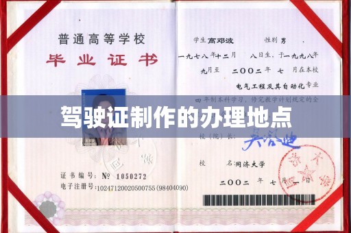 泸西驾驶证制作的办理地点