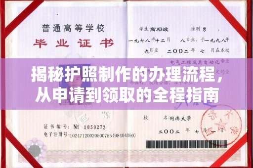 泸西揭秘护照制作的办理流程，从申请到领取的全程指南
