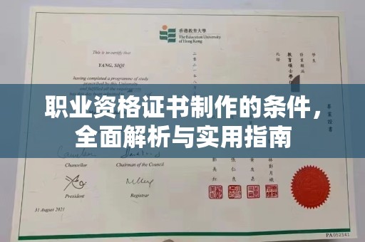 泸西职业资格证书制作的条件，全面解析与实用指南